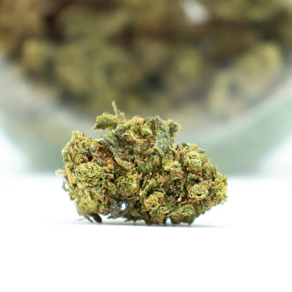 Fleur de CBD - Blueberry Muffin EstrelaCBD