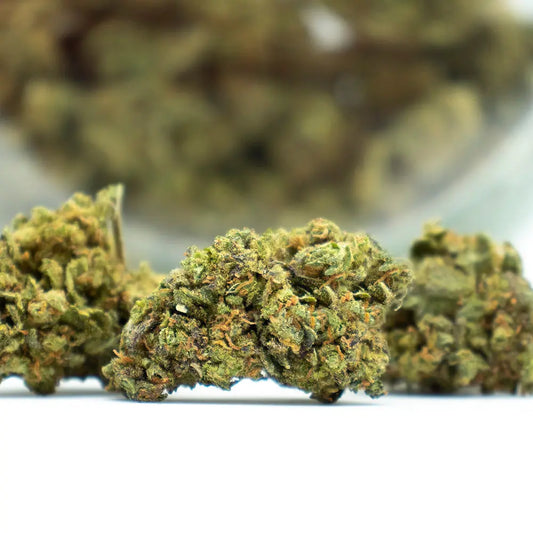 Fleur de CBD - Blueberry Muffin EstrelaCBD