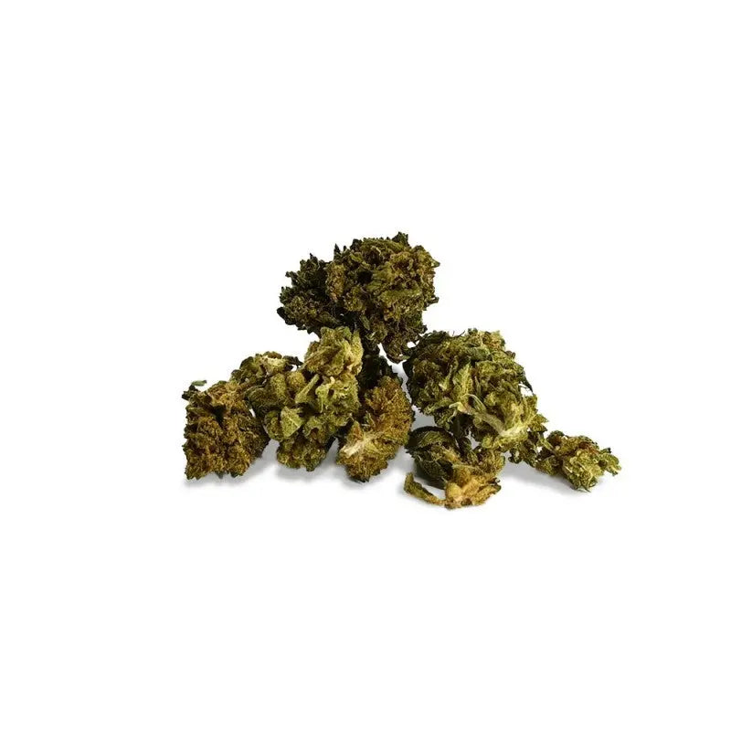 Fleur de CBD - Small Bud Platinium Haze EstrelaCBD