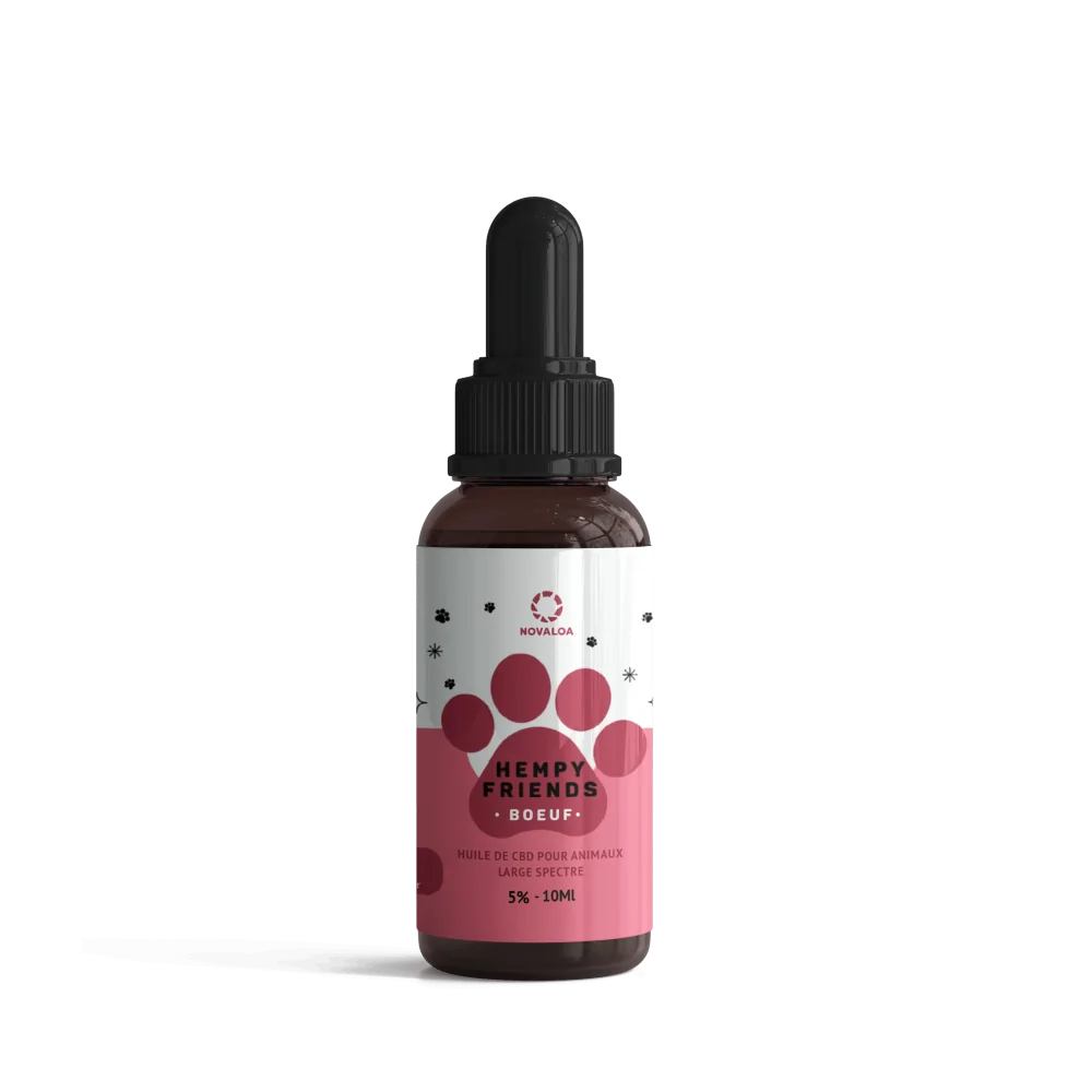 Huile CBD animaux 5% boeuf