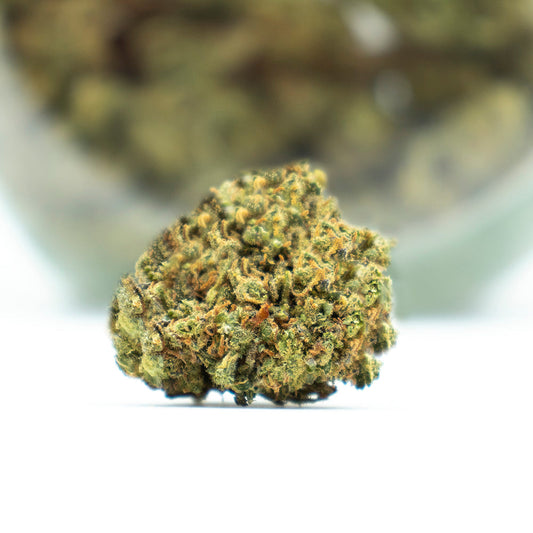 Fleur de CBD - Blueberry Muffin EstrelaCBD