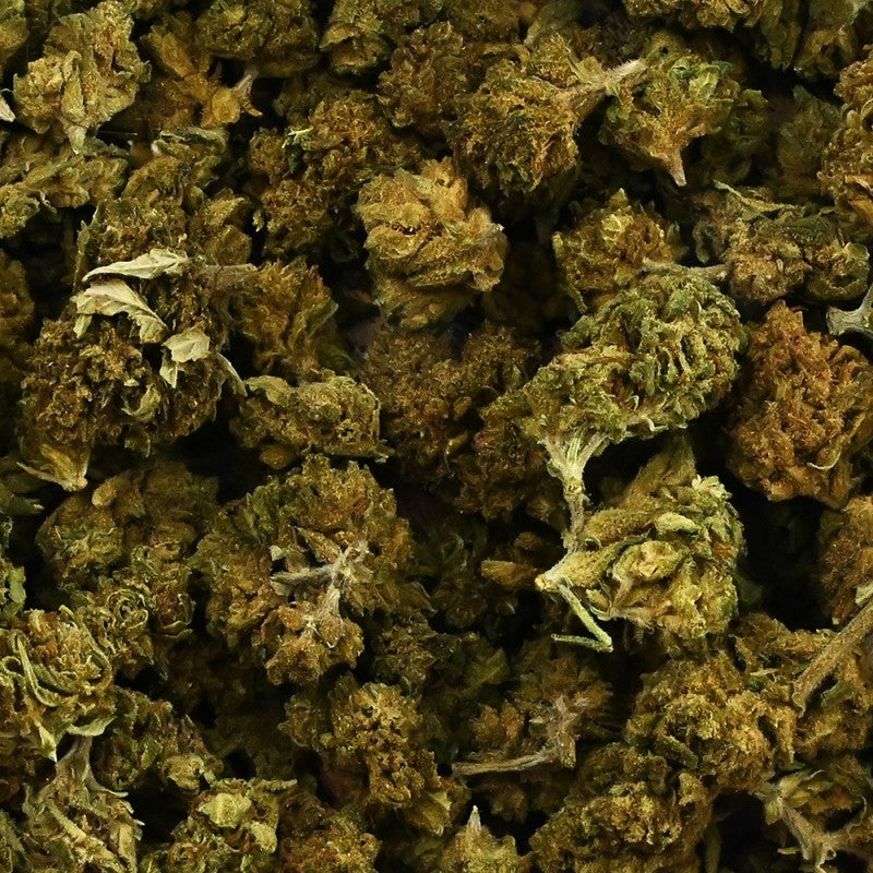 Fleur de CBD - Small Bud Platinium Haze EstrelaCBD